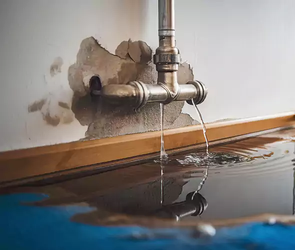 Professional Water Damage Restoration Experts in Riviera Beach, FL — Fast, Reliable & Certified
